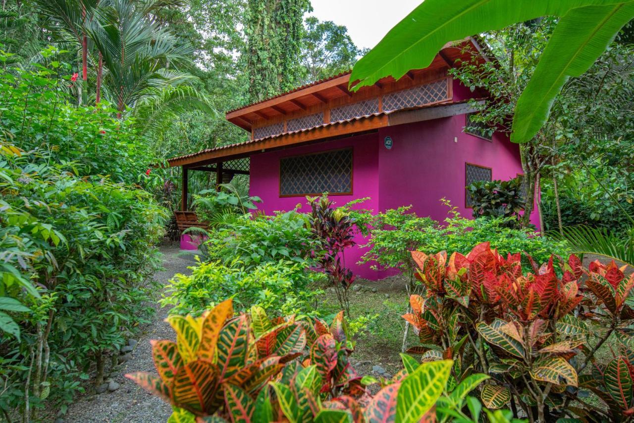 Puerto Viejo de Talamanca Villa Pina Dorada Dependencia Del Hotel Casa Merlin מראה חיצוני תמונה