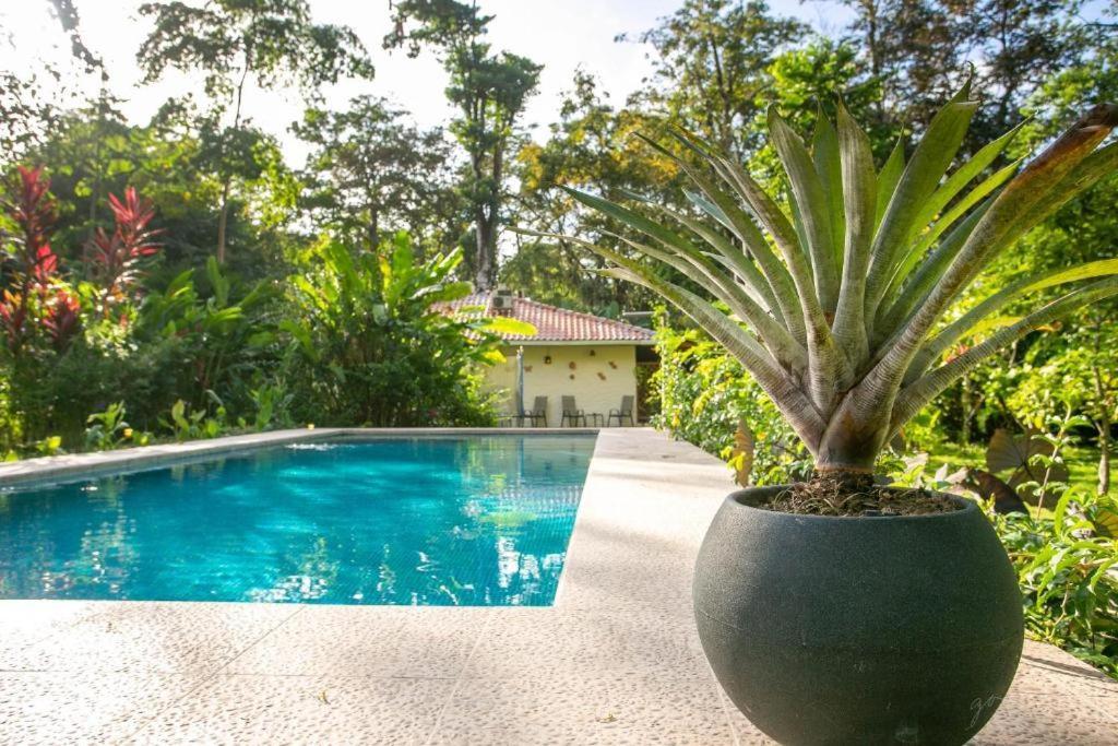 Puerto Viejo de Talamanca Villa Pina Dorada Dependencia Del Hotel Casa Merlin מראה חיצוני תמונה