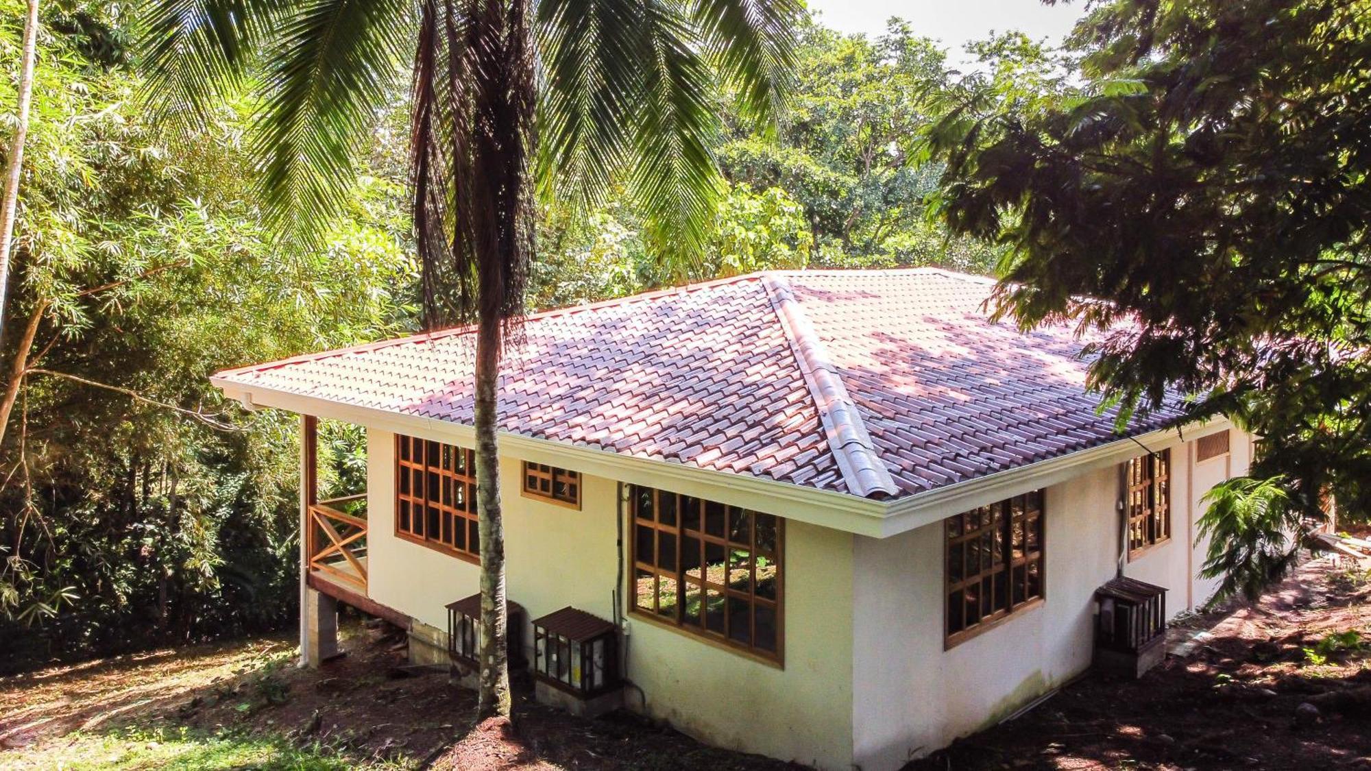 Puerto Viejo de Talamanca Villa Pina Dorada Dependencia Del Hotel Casa Merlin מראה חיצוני תמונה